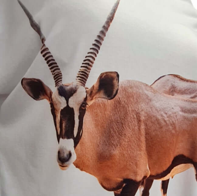 Antilope Druckmotiv